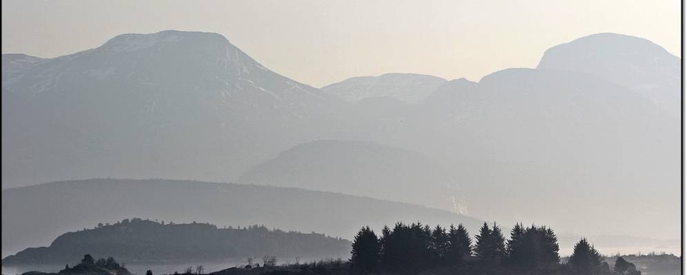 
            Фотография Флоро