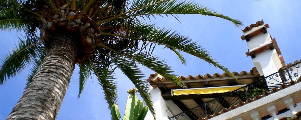 
            Фотография Пагуэра