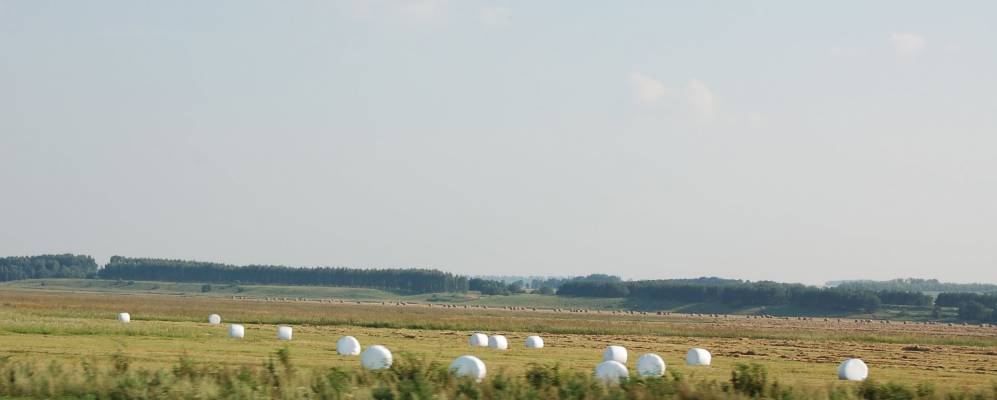 
            Фотография Малых Ширданов