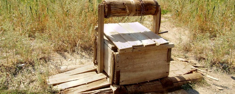 
            Фотография Подлесного