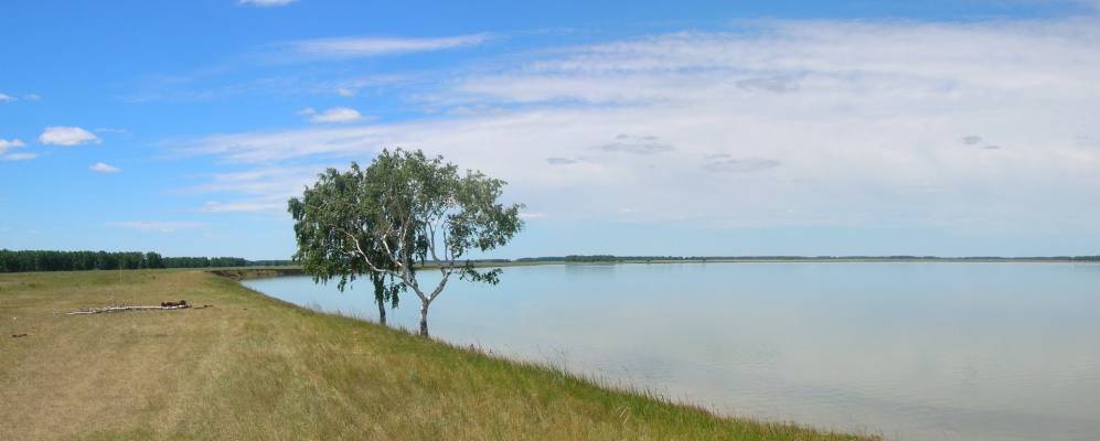 
            Фотография Осинников
