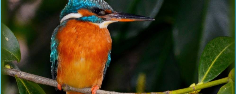 
            Фотография Эберсхайма