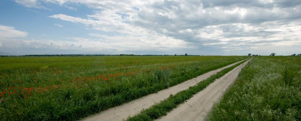 
            Фотография Койшибека