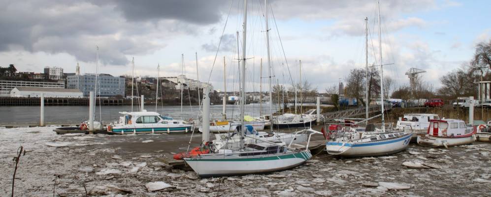 
            Фотография Резе