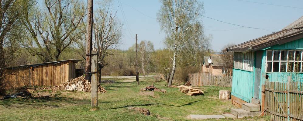 
            Фотография Покрова