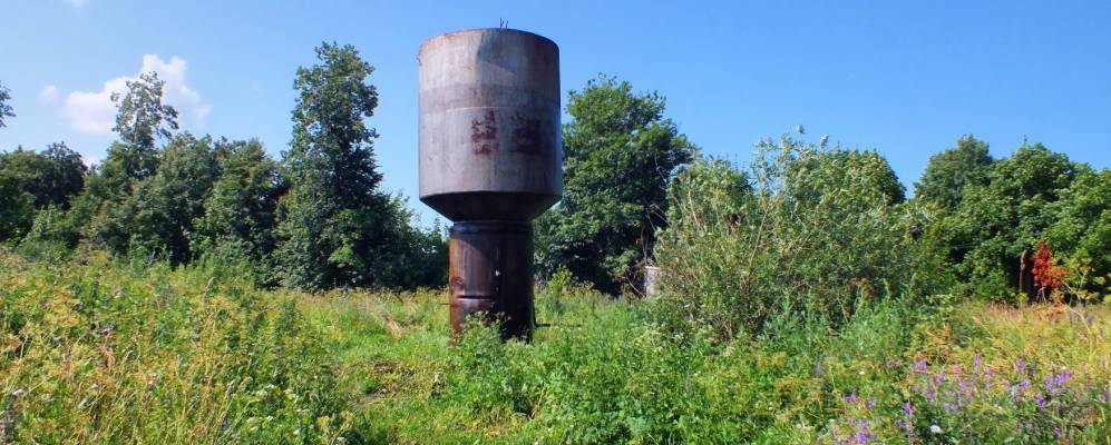 
            Фотография Гусевки