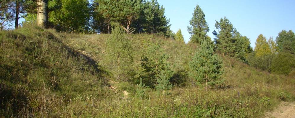 Фотография Старого