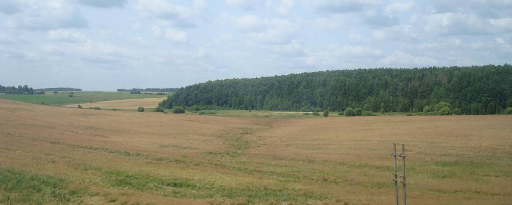 
            Фотография Шнаровки