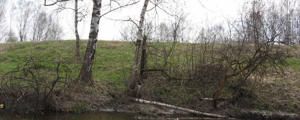 Фотография Орловки