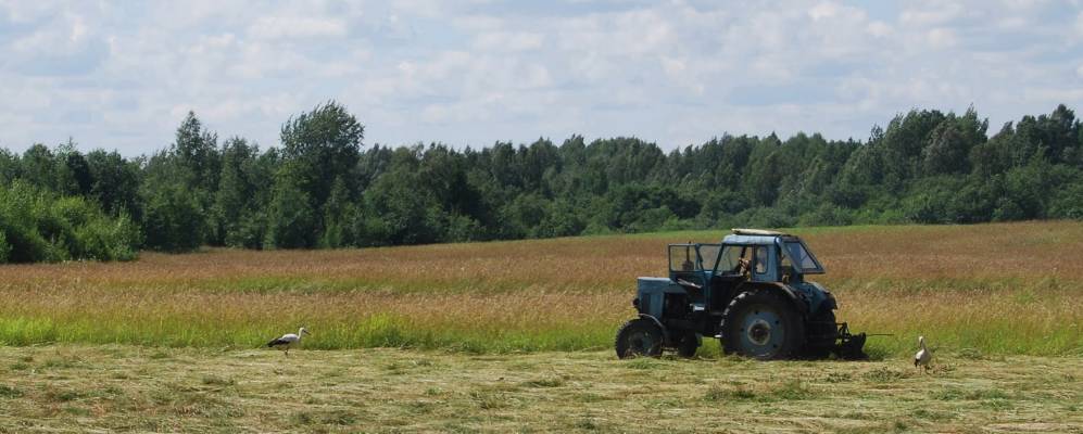 Фотография Намещей