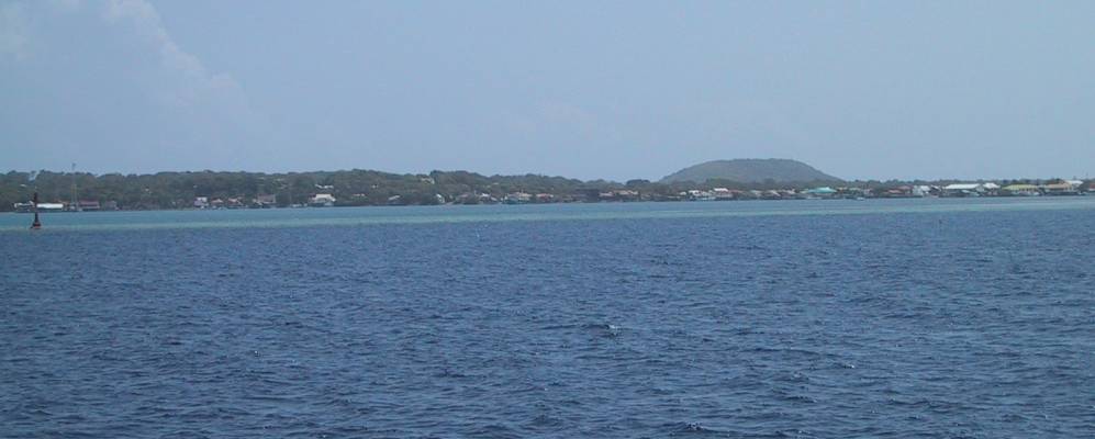 
            Фотография Утила