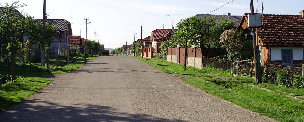 
            Фотография Солонского