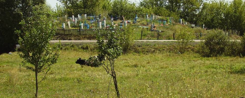 
            Фотография Ивановки