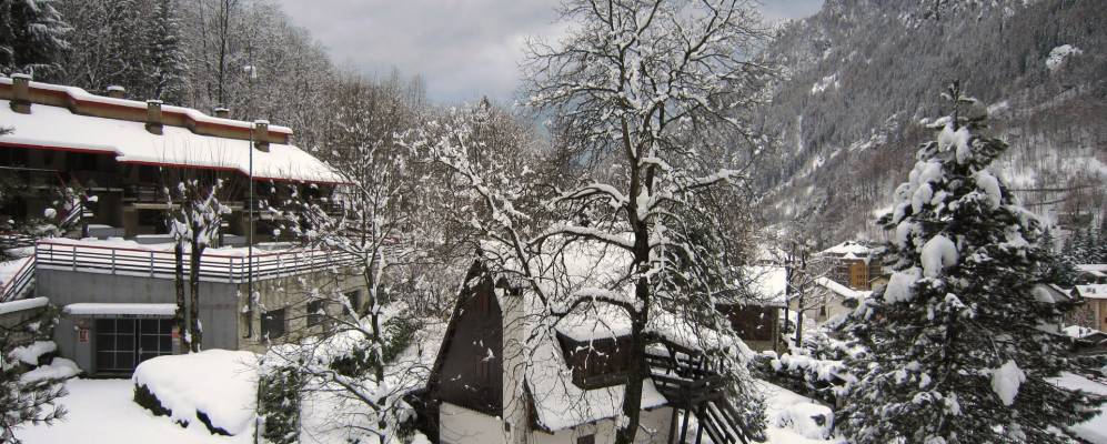 
            Фотография Бранци