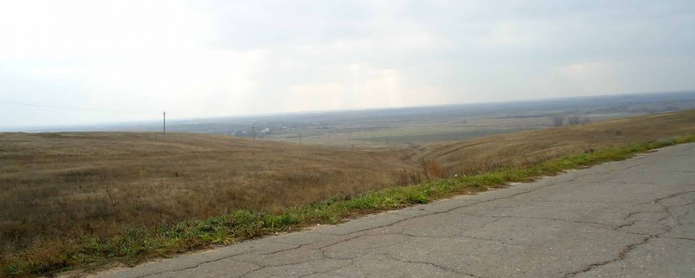 Фотография Курина