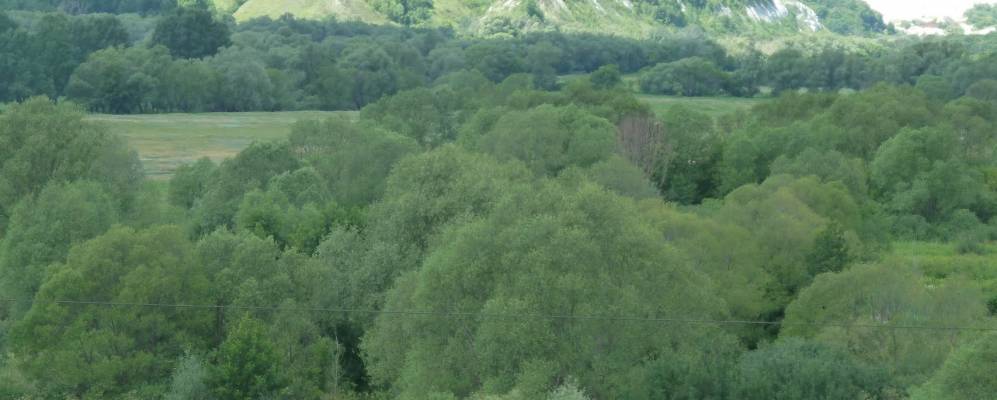 Фотография Шепелева