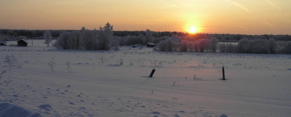 Фотография Анциферовской