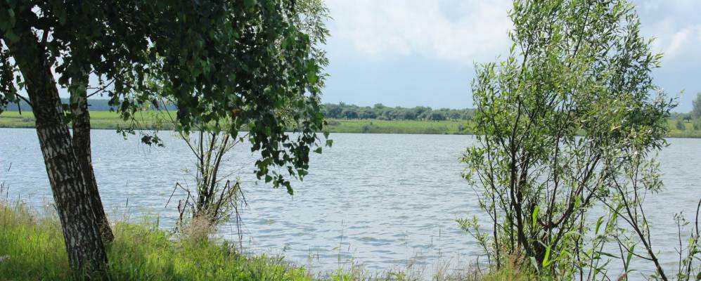 
            Фотография Калинина