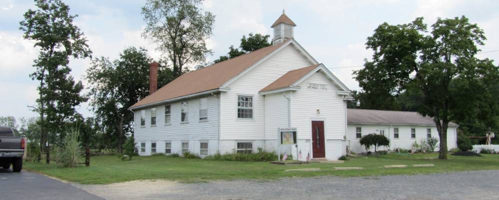 
            Фотография Магнолии