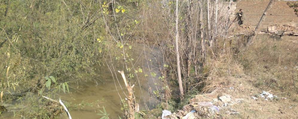 
            Фотография Утманзаэй