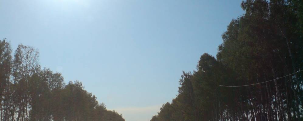 
            Фотография Гнусово