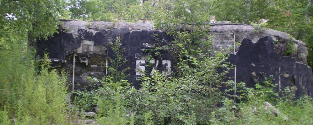 
            Фотография Ракушки