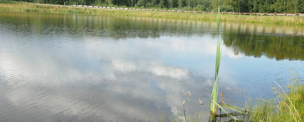 
            Фотография Петропавловки