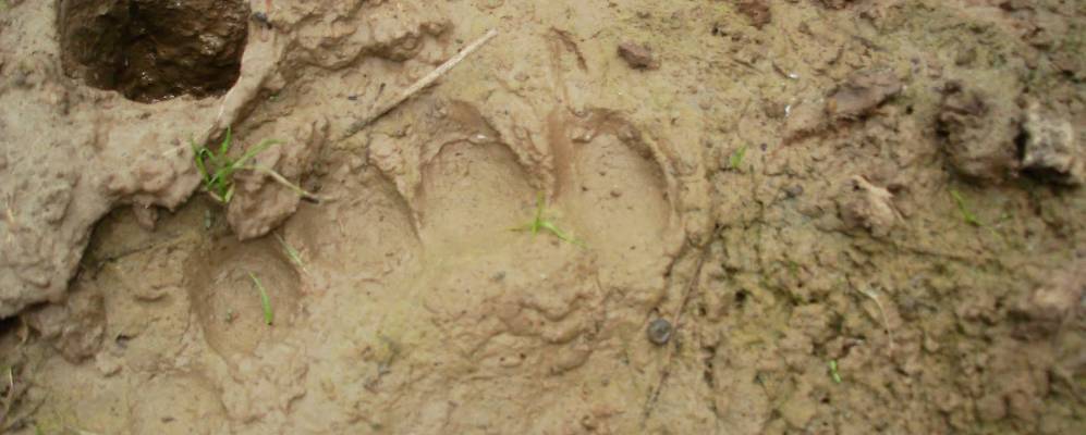 
            Фотография Ямышево