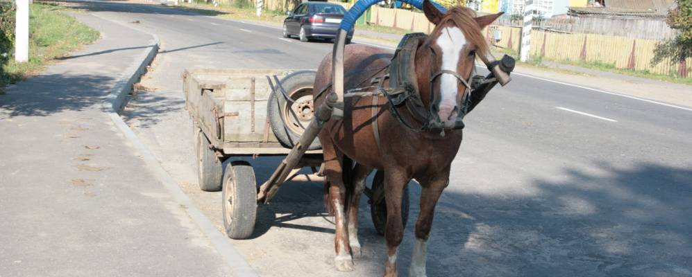 
            Фотография деревни Воевичи