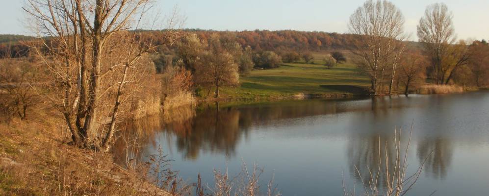 
            Фотография Николаевки