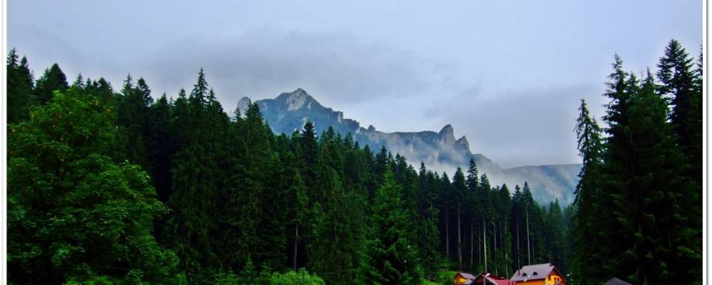 
            Фотография Дурэуи