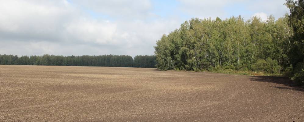 
            Фотография Волобуево