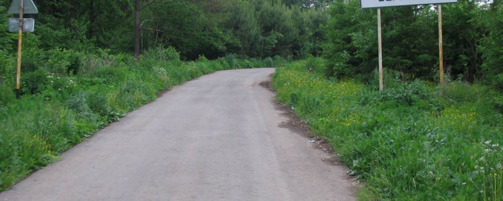 Фотография Березовки