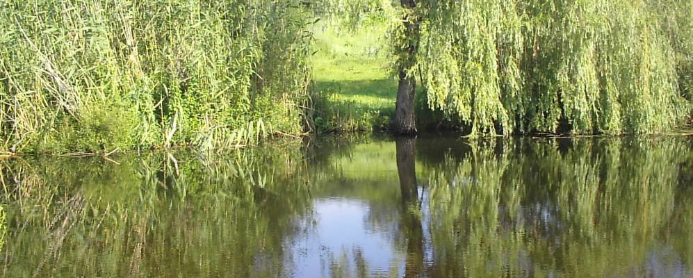 
            Фотография Кобылянки