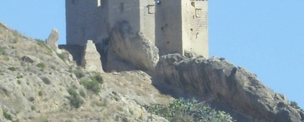 
            Фотография Мулы