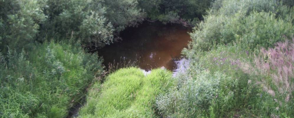 
            Фотография Жуково