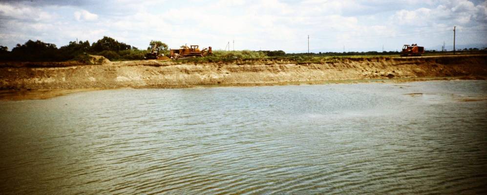 
            Фотография Луга