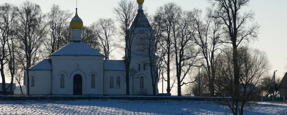 
            Фотография Лебеды