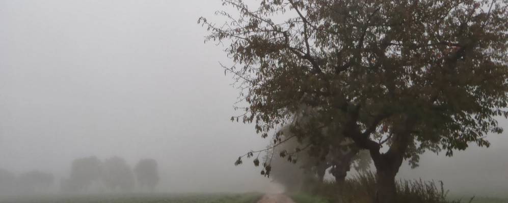 
            Фотография Блайхероде