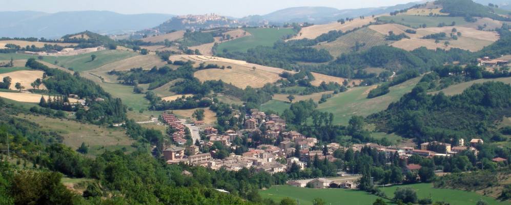 
            Фотография Муччи