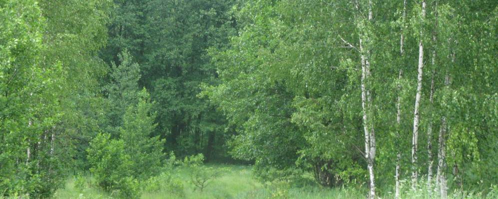 
            Фотография Тросно-Исаево