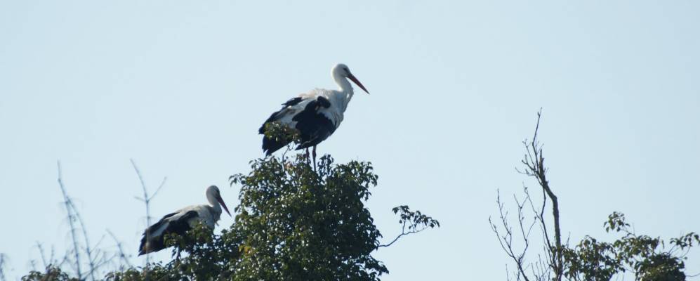
            Фотография Сент-Огюстен