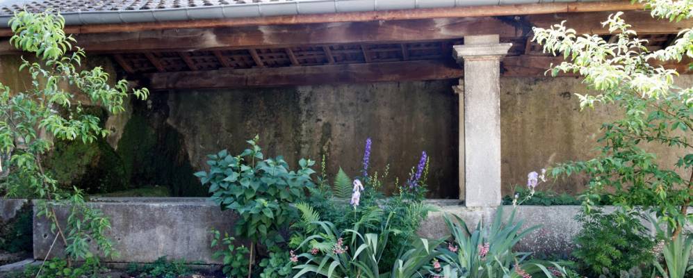 
            Фотография Фуга