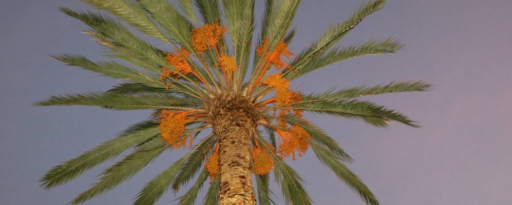 
            Фотография Сьесы