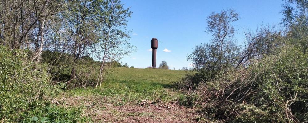 
            Фотография Виджи