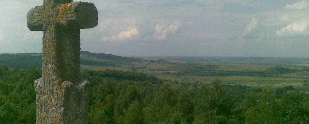 
            Фотография Селиски