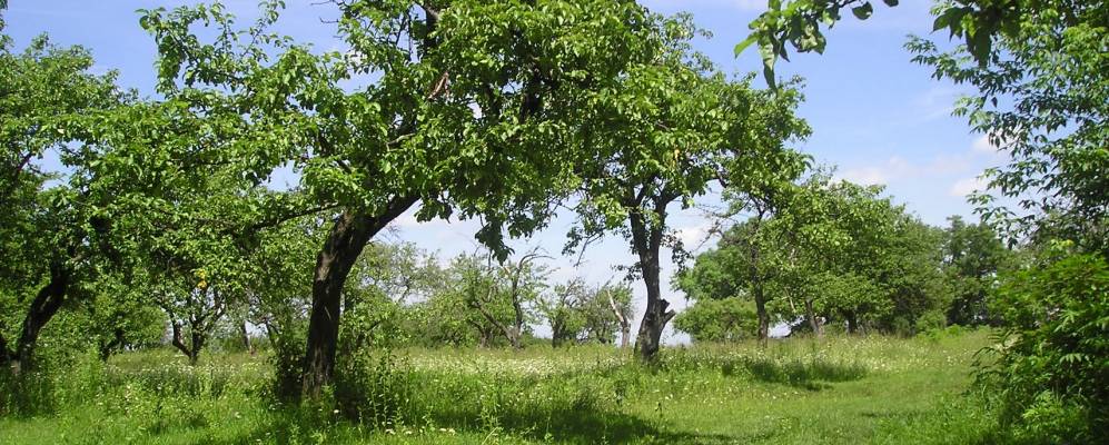 
            Фотография Куриловки