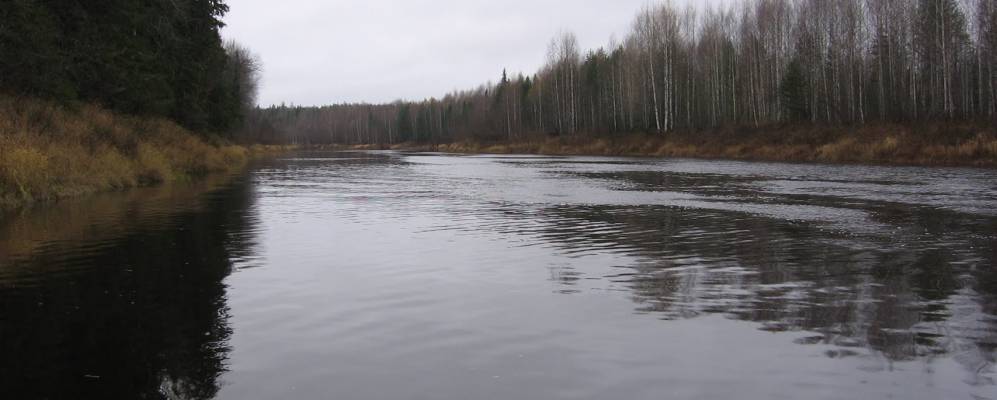 
            Фотография Порыша