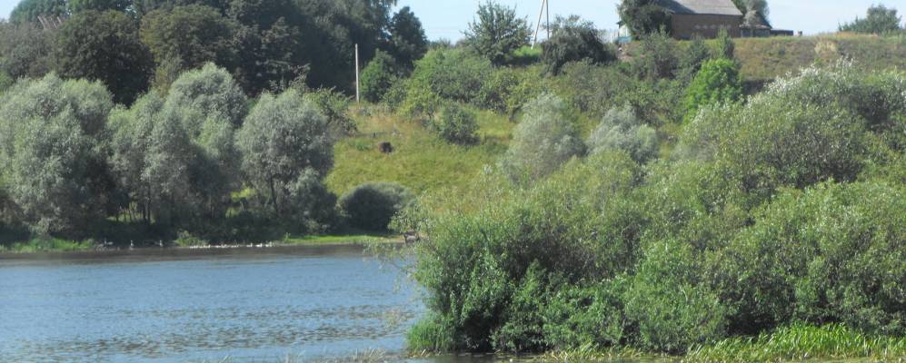 
            Фотография Нижней Олбы