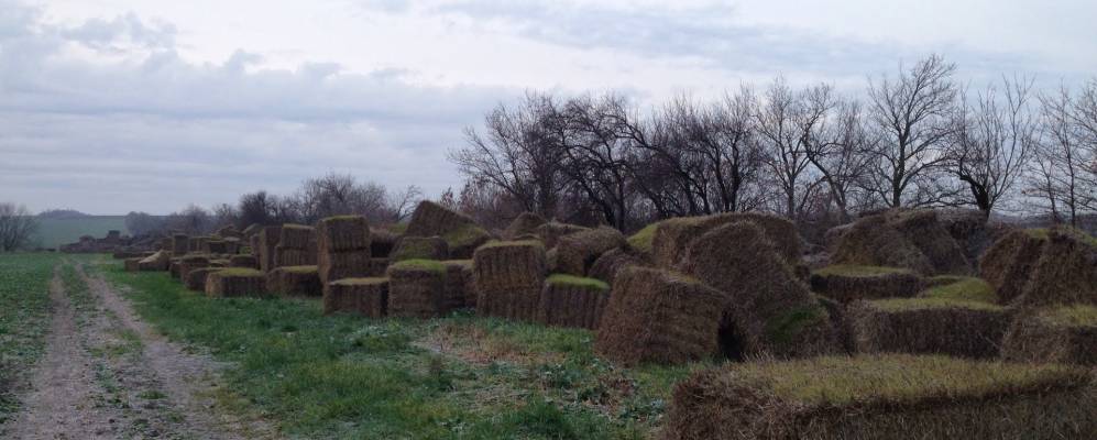 Фотография Марьяновки